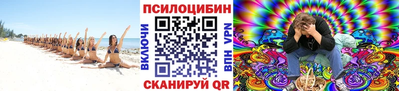 Псилоцибиновые грибы Cubensis  Кореновск 
